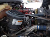 Miniaturka zdjęcia 10