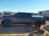 Chevrolet Silverado  4Wd Short Bed Lt Trail Boss 1GCPYFEL8MZ226835 снимка