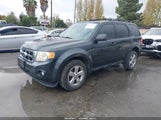 Ford Escape Xlt 1FMCU03G29KA80392 снимка