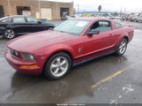 Ford Mustang V6 Deluxe/V6 Premium 1ZVHT80N475357499 fotografie