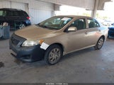 Toyota Corolla Le 1NXBU40E69Z124551 снимка