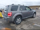 Ford Escape Limited 1FMCU0EG1AKA45571 снимка