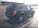 Ford Escape Xlt 1FMCU03158KB92307 снимка