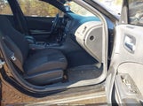Miniaturka zdjęcia 5
