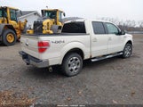 Ford F-150 Fx4/King Ranch/Lariat/Platinum/Xl/Xlt 1FTPW14V09FA47340 fotografie