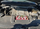 Miniaturka zdjęcia 10