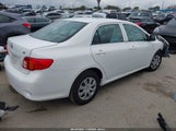 Toyota Corolla Le 2T1BU4EE1AC506856 снимка