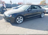 Miniaturka zdjęcia 2