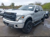 Ford F-150 Platinum 1FTFW1EFXBFA82895 снимка
