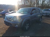 Honda Pilot Ex-L 5FNYF3H52BB023951 photo