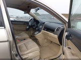 Honda Cr-V Ex-L JHLRE48788C015196 fotografie