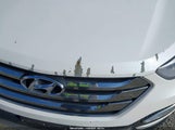 Hyundai Santa Fe Sport 2.4L 5XYZUDLB6EG182711 fotografie