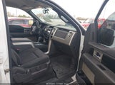 Ford F-150 Fx2 Sport/Harley-Davidson/King Ranch/Lariat/Platinum/Xl/Xlt 1FTFW1CV9AKC33466 снимка