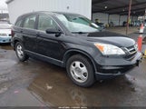 Honda Cr-V Lx 5J6RE4H31AL081938 photo