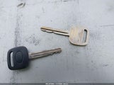 Miniaturka zdjęcia 11