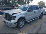 Ford F-150 Fx2 Sport/Xl/Xlt 1FTEW1C89AKE16937 снимка