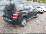 Ford Escape Xlt 1FMCU0DG3CKA32227 fotografie