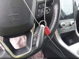 Miniaturka zdjęcia 11