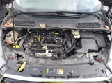 Ford Escape Se 1FMCU0GD2KUB23252 снимка