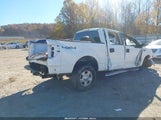 Miniaturka zdjęcia 4