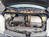 Toyota Prius Standard JTDKB20U283431502 снимка