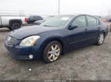 Nissan Maxima 3.5 Sl 1N4BA41E65C859693 снимка