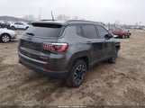 Jeep Compass Trailhawk 4X4 3C4NJDDB0KT721415 снимка