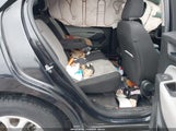 Miniaturka zdjęcia 8