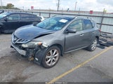 Nissan Murano Le JN8AZ1MWXDW307309 photo