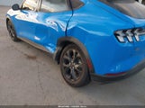 Miniaturka zdjęcia 6