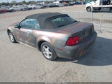 Ford Mustang 1FAFP44443F445665 fotografie