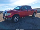 Ford F-150 Fx2 Sport/Xl/Xlt 1FTEW1C80AKA25322 photo