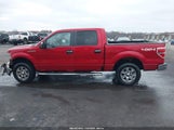 Ford F-150 Fx4/Harley-Davidson/King Ranch/Lariat/Platinum/Xl/Xlt 1FTFW1EV9AFC70216 fotografie