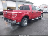 Ford F-150 Fx4/Harley-Davidson/King Ranch/Lariat/Platinum/Xl/Xlt 1FTFW1EV9AFC70216 fotografie