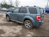 Ford Escape Limited 1FMCU0EG1AKB54399 снимка