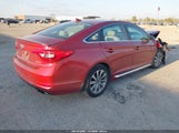 Hyundai Sonata Sport 5NPE34AF0FH139077 fotografie