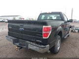 Ford F-150 Xl 1FTMF1CM1DFB50559 снимка