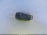 Miniaturka zdjęcia 11