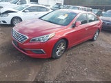 Hyundai Sonata 5NPE24AF3HH530519 снимка