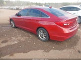 Hyundai Sonata 5NPE24AF3HH530519 снимка