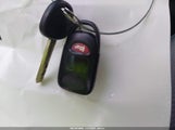 Miniaturka zdjęcia 11