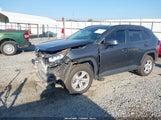 Toyota Rav4 Xle 2T3W1RFV5KW046372 снимка