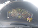 Miniaturka zdjęcia 7