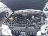 Ford Escape Xlt/Xlt Sport 1FMYU03107KB08625 fotografie