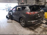Toyota Rav4 Xle 2T3RFREV7GW414493 снимка