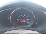 Miniaturka zdjęcia 7
