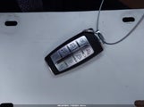 Miniaturka zdjęcia 11