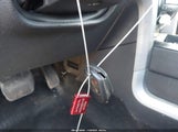 Miniaturka zdjęcia 11