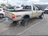 Miniaturka zdjęcia 4