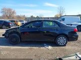 Toyota Corolla Le 2T1BU4EE8DC038399 снимка
